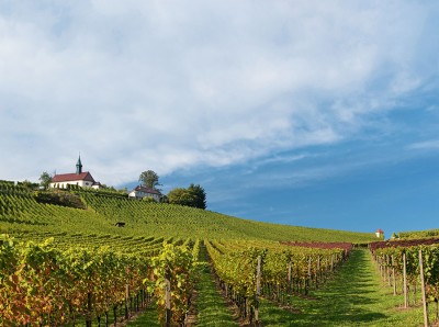 shutterstock_Gengenbach_Bergle.jpg